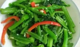 漂亮女配在恋综吃瓜免费南瓜藤,女配吃瓜免费南瓜藤，甜蜜瓜事引关注